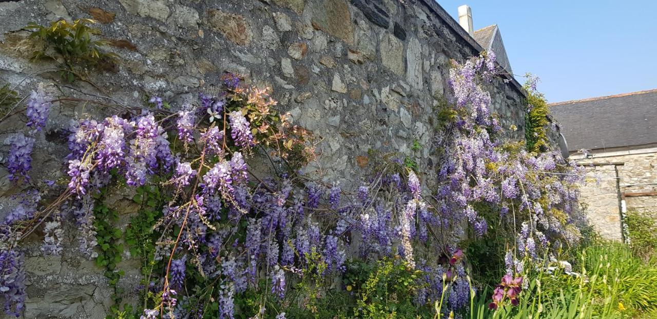 Maison Papillons Plomodiern Dış mekan fotoğraf
