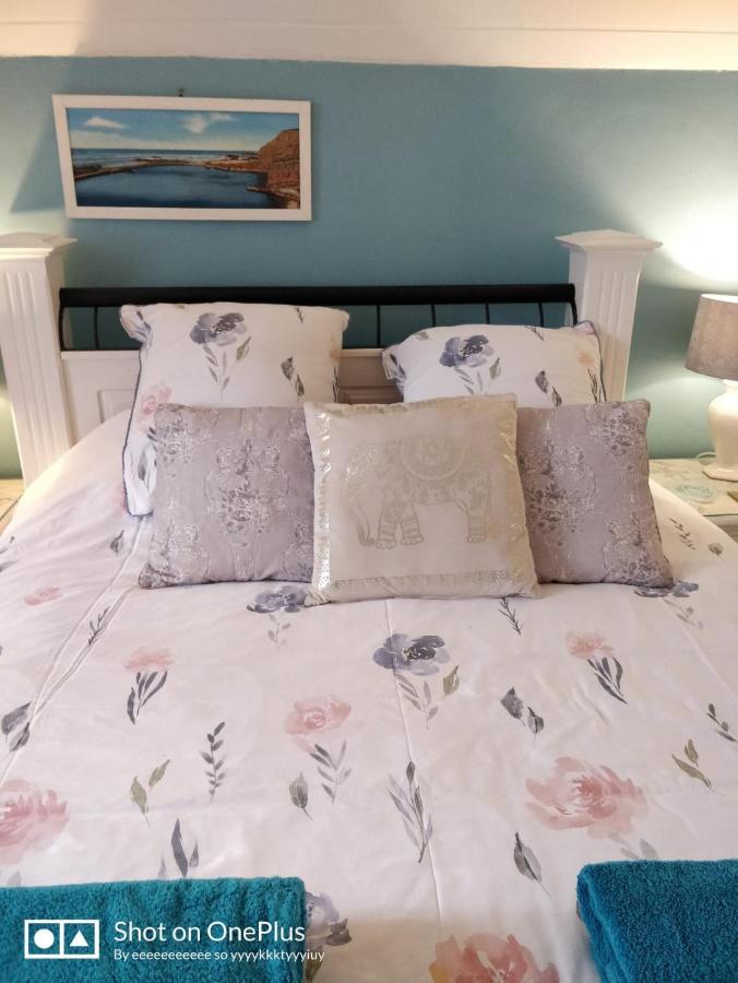 Maison Papillons Plomodiern Dış mekan fotoğraf